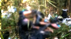 Sample post image