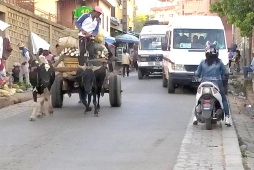 Sample post image