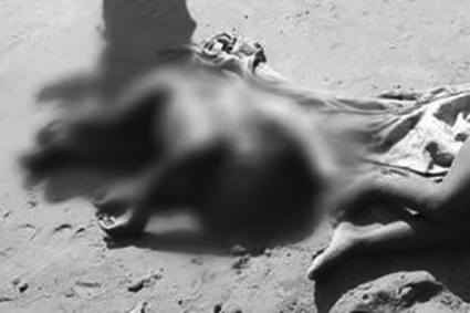 Sample post image