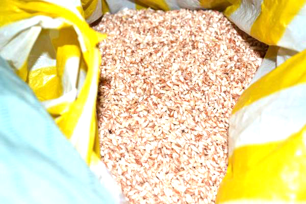 Sample post image